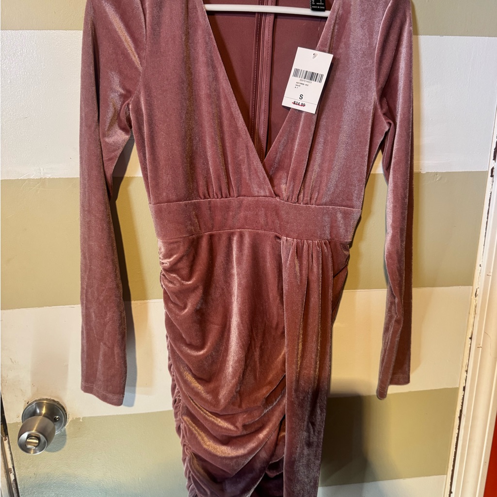 Forever 21 Mauve Velvet Long Sleeve Dress